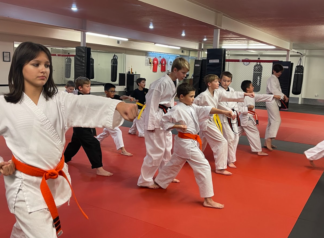 Martial arts students can develop physical strength mental focus, and self-defense techniques, through mastering karate moves, which also enhance their social skills.