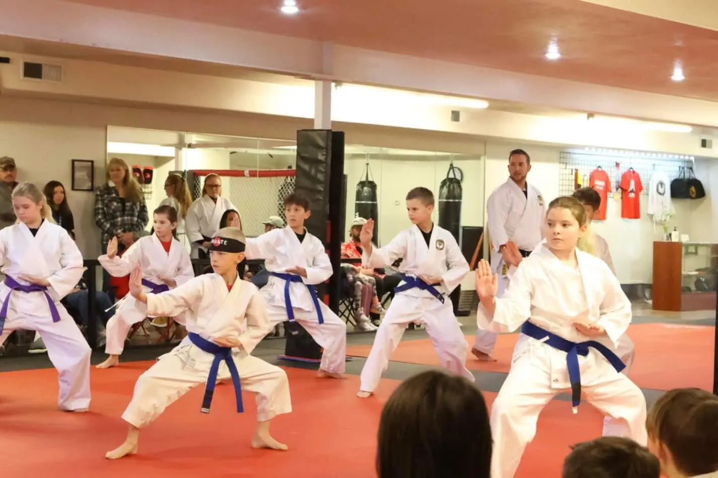 Martial arts classes particularly karate training offer excellent physical and mental challenge, providing stress relief, and fostering self-control.