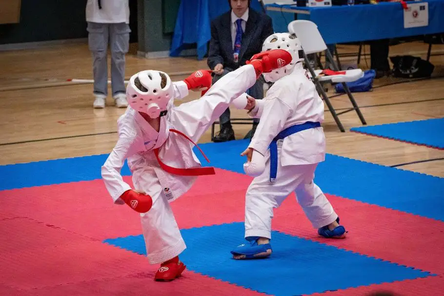 kids martial arts lesson